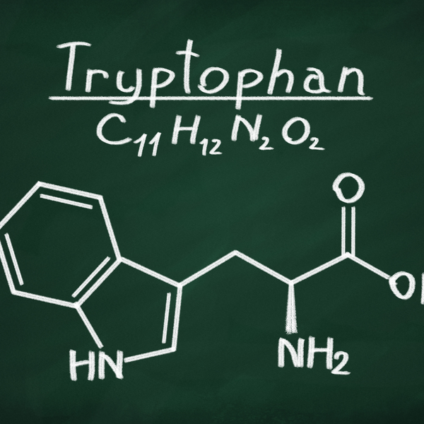 L-Tryptophan für Hunde: Alles, was Du über diese wertvolle Aminosäure wissen solltest