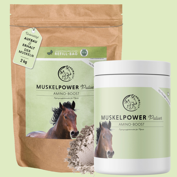 Muscle Power Powder