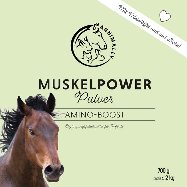 Muscle Power Powder