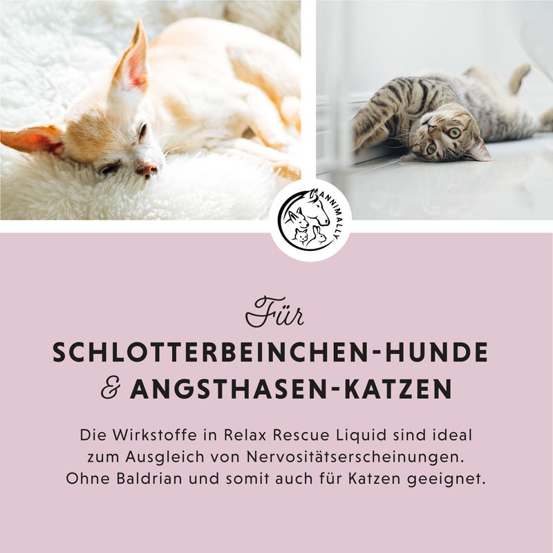 Rescue Tropfen für Hunde & Katzen